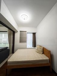Terrene At Bukit Timah (D21), Condominium #460564101